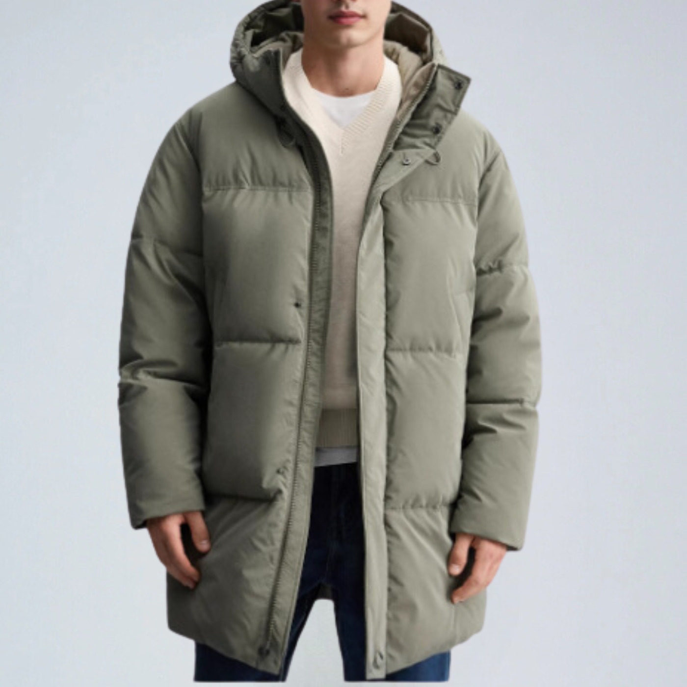 COLDEN COAT